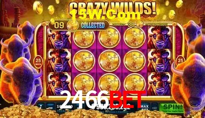 2466Bet Belo Horizonte - Basketball
